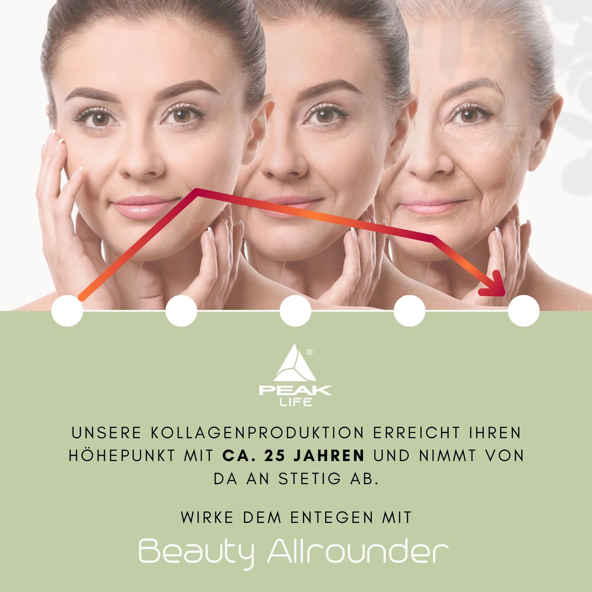 Beauty Allrounder - Image 6